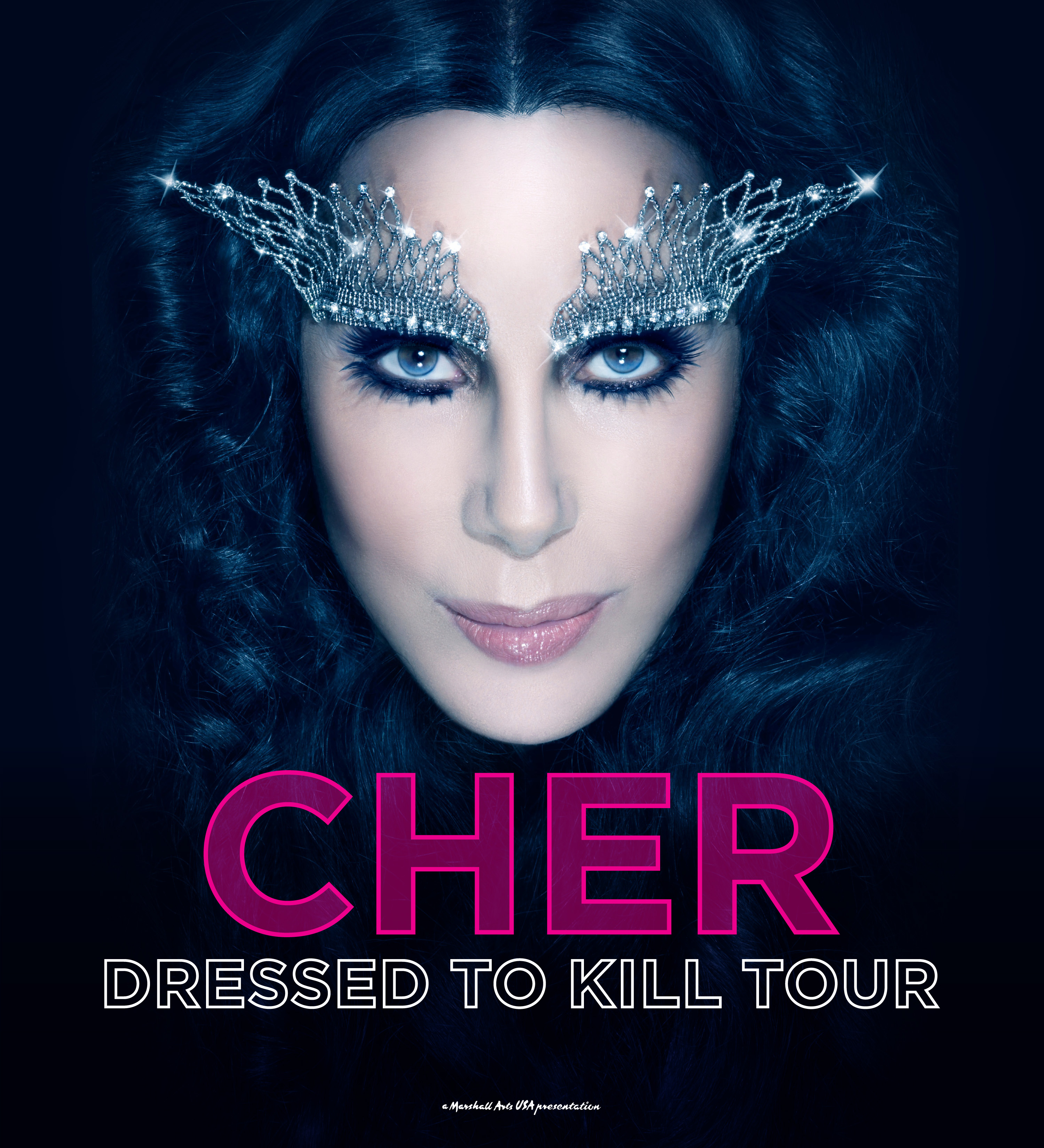 Cher Tour Poster B