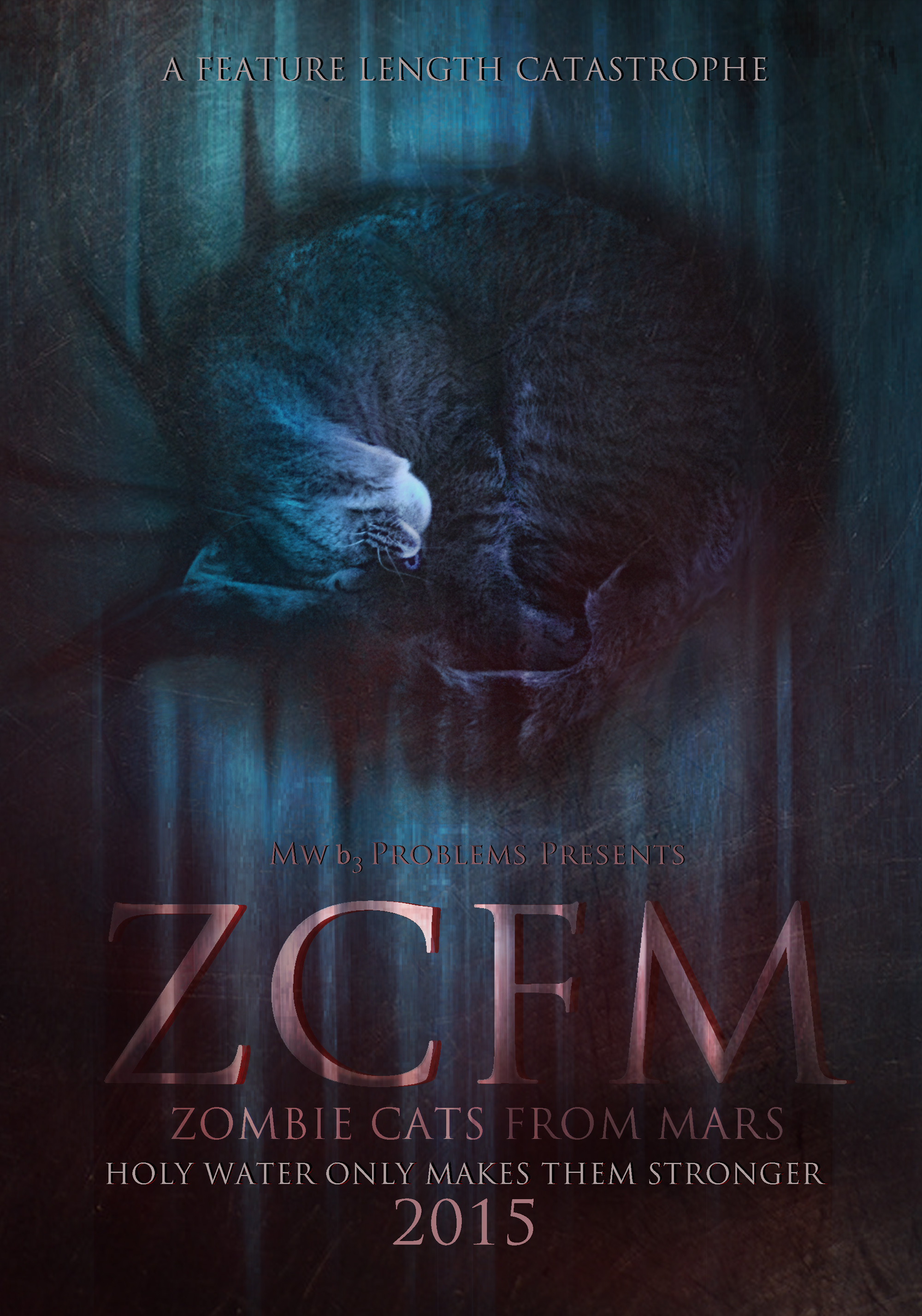 ZCFMPoster300res02