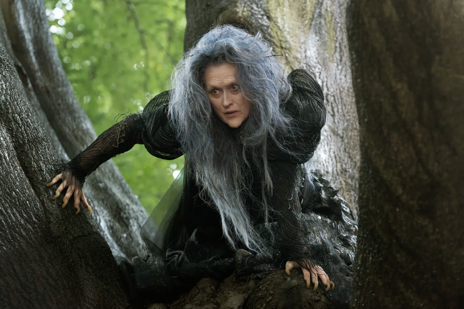 Into-the-Woods-Movie-Meryl-Streep