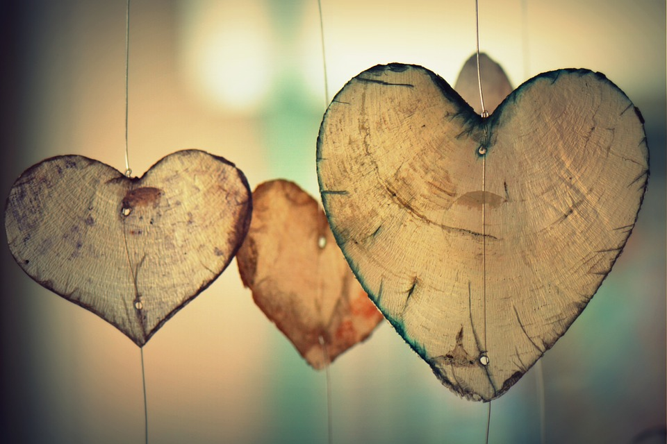 heart-wood